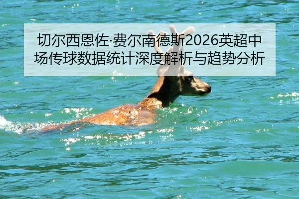 qie-er-xi-en-zuo-fei-er-nan-de-si-ying-chao-zhong-chang-chuan-qiu-shu-ju-tong-ji-shen-du-jie-xi-yu-qu-shi-fen-xi-2-177.jpg