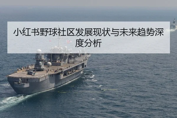 xiao-hong-shu-ye-qiu-she-qu-fa-zhan-xian-zhuang-yu-wei-lai-qu-shi-shen-du-fen-xi-2-780.jpg