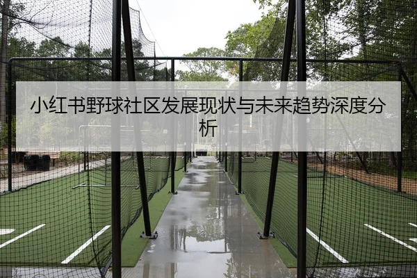 小红书野球社区发展现状与未来趋势深度分析